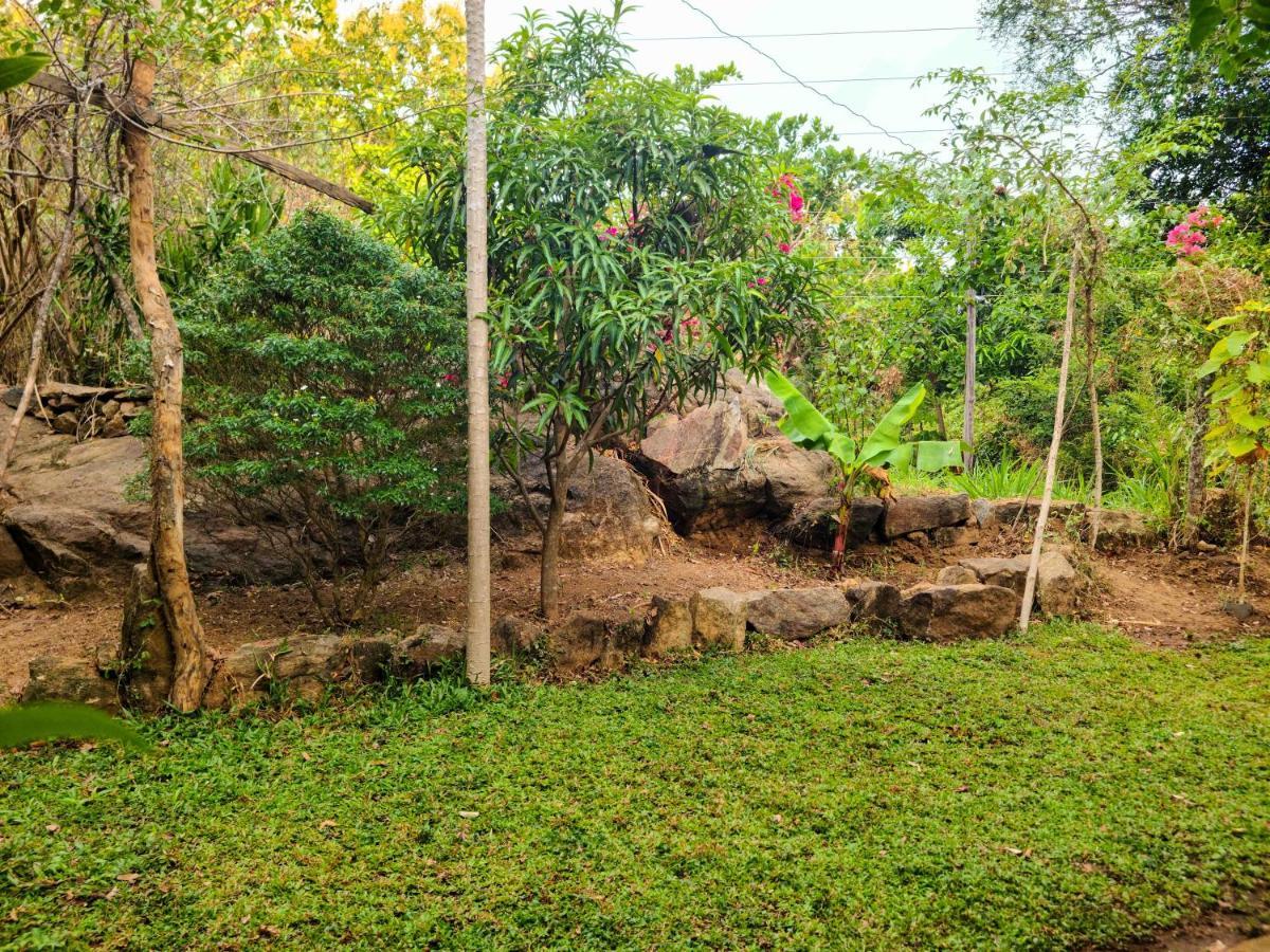 Woodholic Homestay Sigiriya Exterior foto